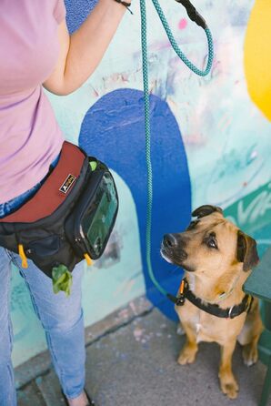 Пакет OllyDog Trailblazer для собак: поясна сумка для ласощів, кулька, диспенсер для відходів, водонепроникний, для прогулянок та тренувань, універсальний розмір (Cider)