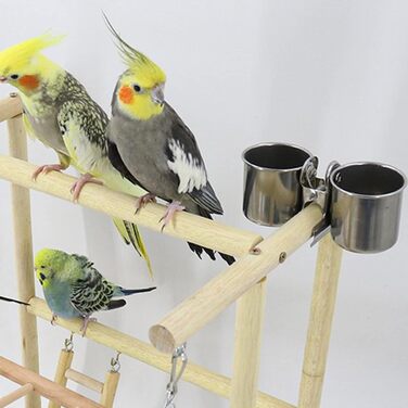Bird Playground, budgie toys, bird play stand, bird gym, bird accessories, climbing frame with feeder cups, tray, swing for parakeets, canaries, finches, etc. (#8)