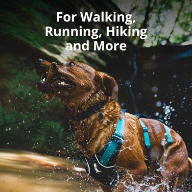 Шлейка для собак Ruffwear Flagline з ручкою, легка, регульована, 3 точки кріплення для повідка, посилена стрічка, міцний металевий V-кільце, Базальтовий сірий, розмір Small