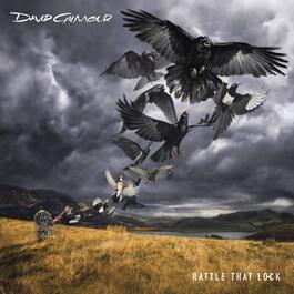Rattle That Lock – Вінілова платівка David Gilmour (LP)