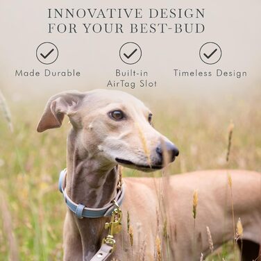 Cupertino Dog Collars, Harnesses & Leashes made of vegan leather with dog tracker device holder, adjustable dog collar (Small (Neck: 12x15), Pink) (Medium (Neck: 15x19), Blue)