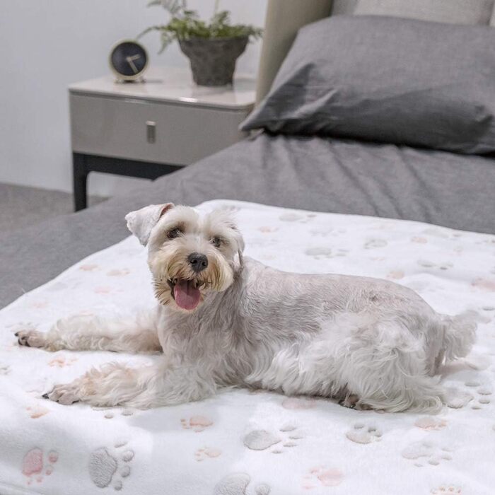 ALLISANDRO® Тепла та м'яка ковдра для домашніх тварин: ковдра для собак та котів з флісу, 200x150 см, бежева