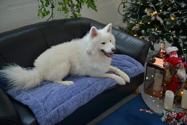 М'яка ковдра для собак та котів Raikou з плюшевою подушкою, 80x60 см, блакитний мікс (миється, не ковзає)