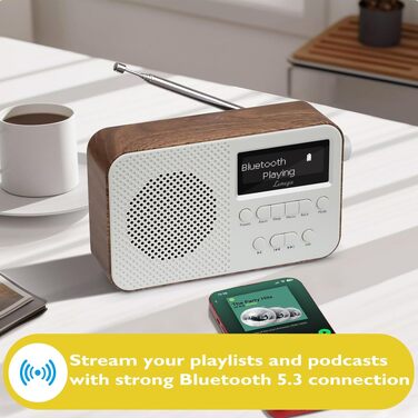 Портативне цифрове радіо LEMEGA PR2-Max DAB+/FM, Bluetooth 5.3, на батарейках AA, колір горіх