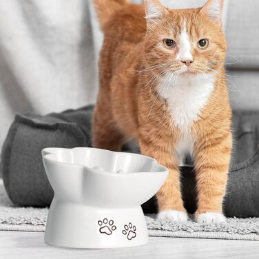 Миска для собак та котів Kaiikais Slow Feeder, 240 мл, кераміка, піднята, для повільного годування