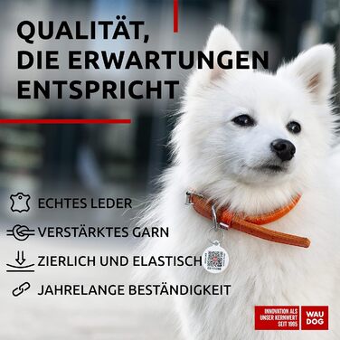 Стильний шкіряний нашийник для собак WAUDOG: для маленьких, середніх та великих порід, 20-25 см, 8 мм, помаранчевий