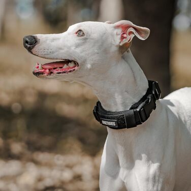 Нашийник для собак OneTigris, тактичний, з ручкою, чорний, S (25-33 см)