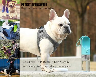 PETKIT Reiseflasche EVERSWEET Travel: пляшка для води для собак, 400 мл, зелений колір