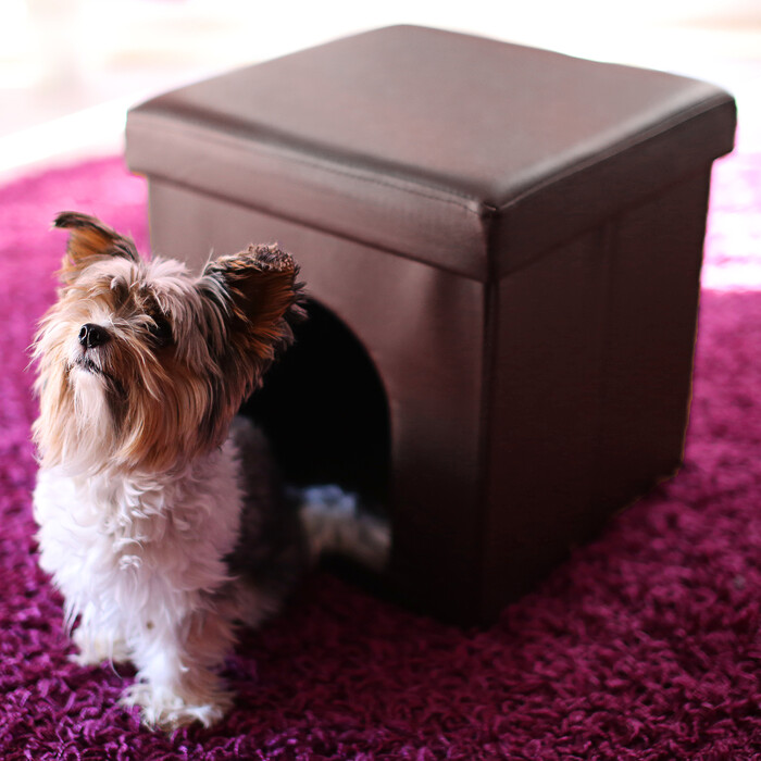 Relaxdays Dog Box Ottoman