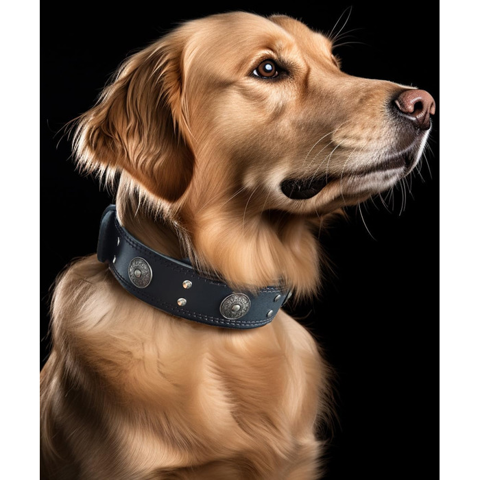 Нашийник для собак з натуральної шкіри, 5 см, ручної роботи, чорний, розмір S (38-49 см)