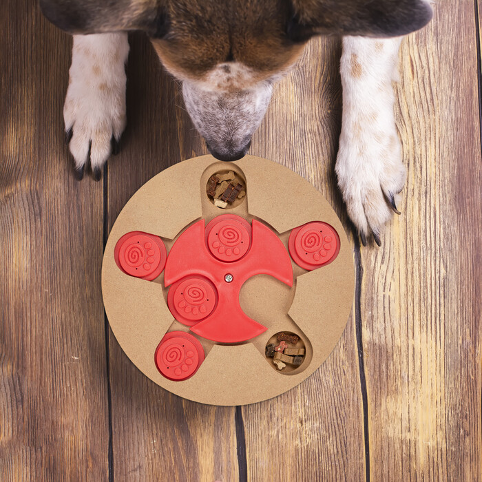 Relaxdays Interactive Dog Toy
