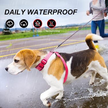 Світловідбиваючий нашийник для собак з LED підсвічуванням, перезаряджається, м'який, регульований, світловідбиваючий (зелений, рожевий)