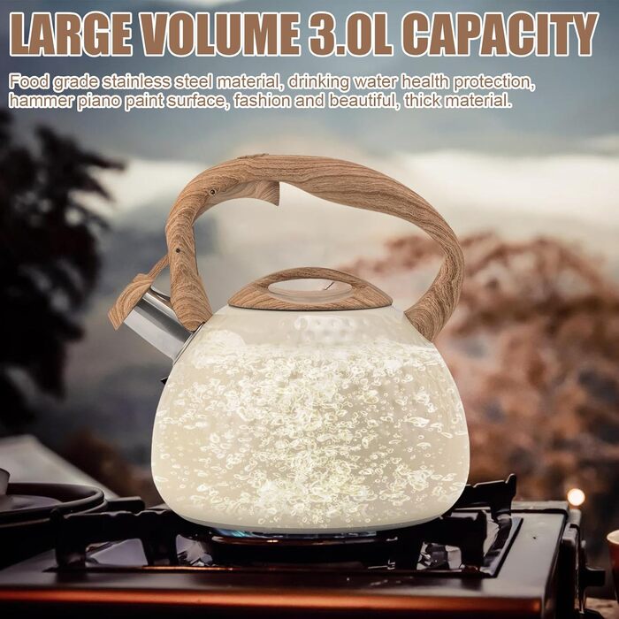 Сучасний чайник-заварник Induktion 3L з нержавіючої сталі з дерев'яною ручкою, для плити, чайник для чаю та кави