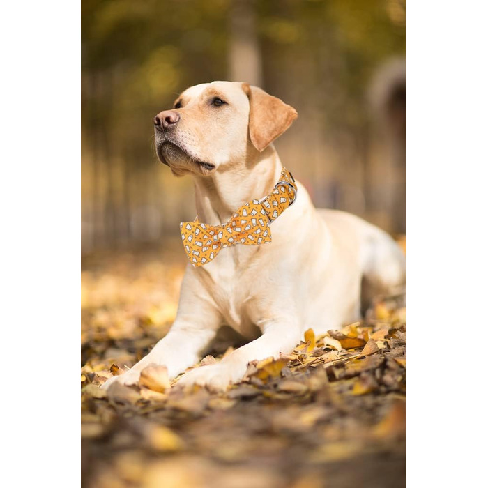 Нашийник для собак Lionet Paws на Halloween з метеликом, бавовна, зручний, з металевим затвором, розмір M (34-55 см), 1 шт. Ghost