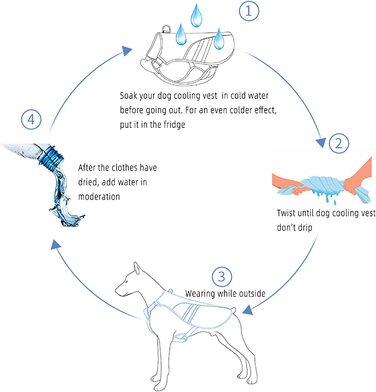 DearDD Cooling Vest for Dogs Summer Cooling Jacket for Dogs, Adjustable Breathable Mesh Dog Vest with Harness D-Ring Warning Vest Dog Coat for Small, Medium, Large Dogs, XL XL (Chest 78-99cm)