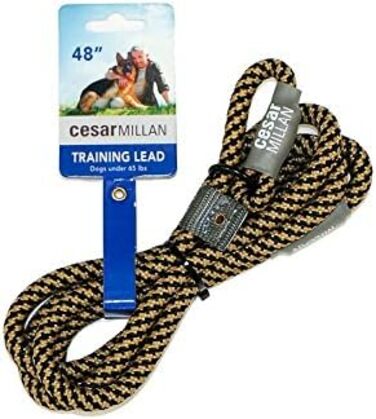 Leine - Training lead for dogs - 2in1 dog collar and leash - Slip lead - Retriever lead with integrated collar (Small/Medium - Color: Black/Yellow) - Length 120 cm, Diameter 1 cm