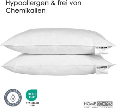 Homescapes Pillow Pair, 2 medium-firm feather pillows 48 x 74 cm set, natural sleeping pillow with 100% duck feather filling, Responsible Down Standard and Oeko-Tex certified pillow