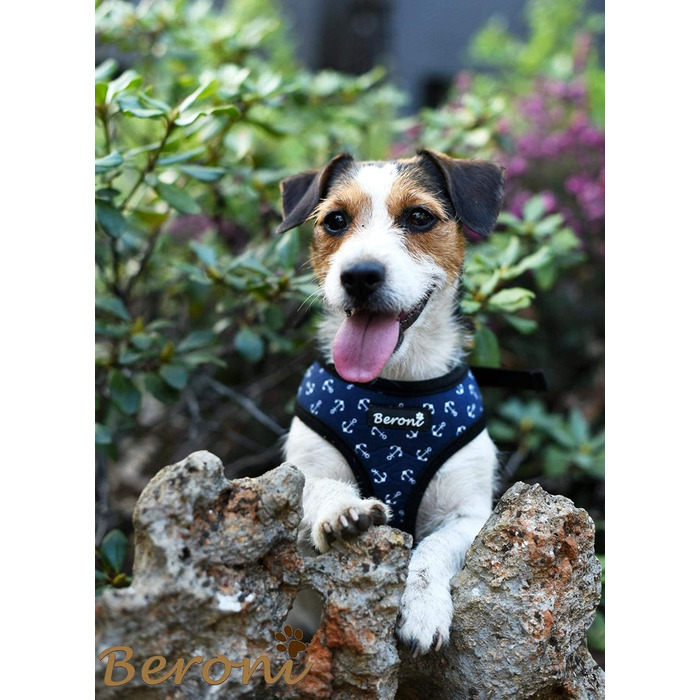 Шлейка для собак Softgeschirr, шлейка для грудей Anker Maritim, регульована, для відпочинку, літо (L (ОБ: 37-42см, Грудка: 47-63см)) (M)