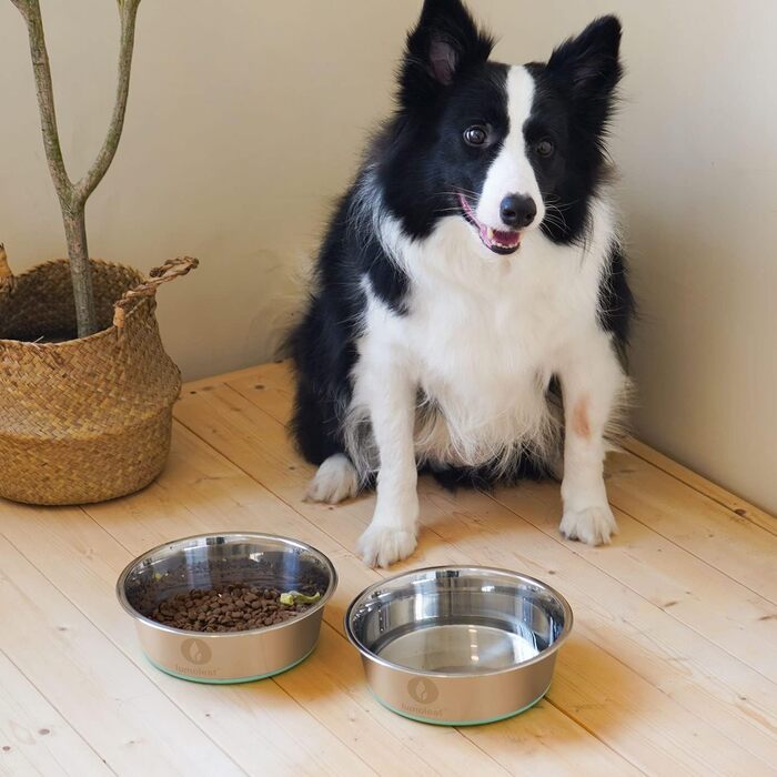 Набір мисок для собак LumoLeaf, нержавіюча сталь, великі, 2 x 3000 мл, з протиковзким силіконовим дном, для великих і середніх собак, миска для їжі та води, придатна для миття в посудомийній машині (подвійний набір)