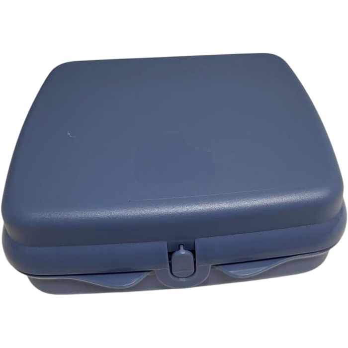 Tupperware Sandwich Box Storage Container Lunchbox Square with Hinge and Latch and Designs (blue)