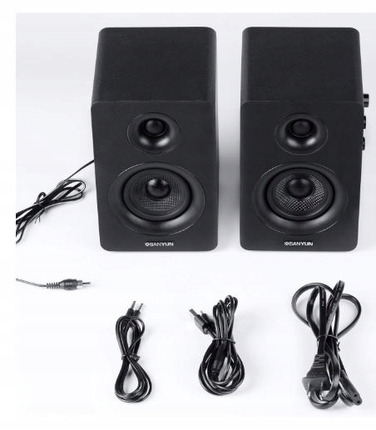 Комплект акустичних колонок 2.0 Sanyun SW208, 50 Вт, чорний