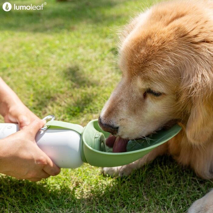 Термофляга для собак LumoLeaf з нержавіючої сталі, 800 мл, зелена - зберігає воду холодною/теплою, довговічна, портативна