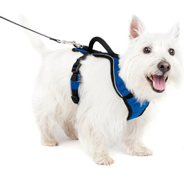 Шлейка для собак PetSafe EasySport, повністю з м'якою підкладкою, для собак вагою 9-16,5 кг, розмір S, блакитна