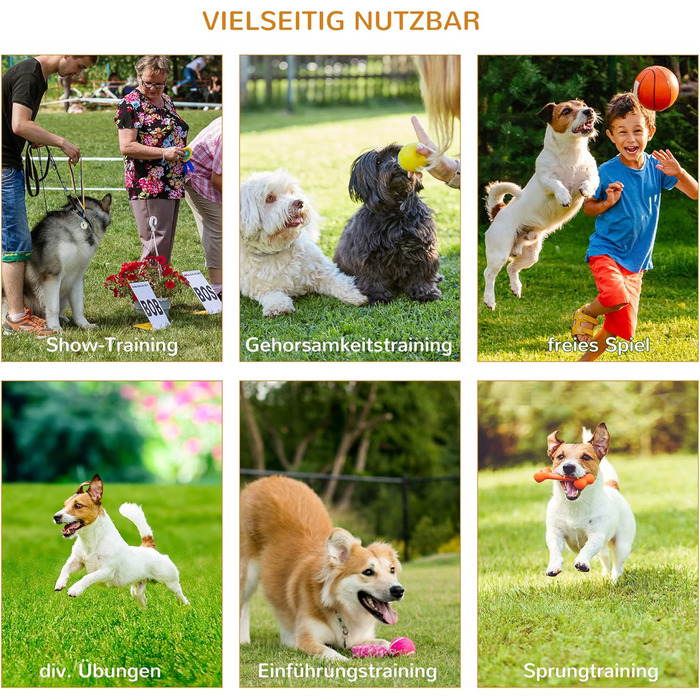 Набір для аджиліті для собак PawHut 3-TLG. Білий+Жовтий, для тренувань