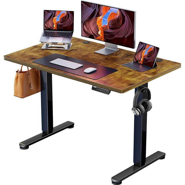 ErGear Electric Standing Desk 100x60cm - Vintage Wood Finish, Memory Height Adjustment for Home Office & Desk Connector Plate