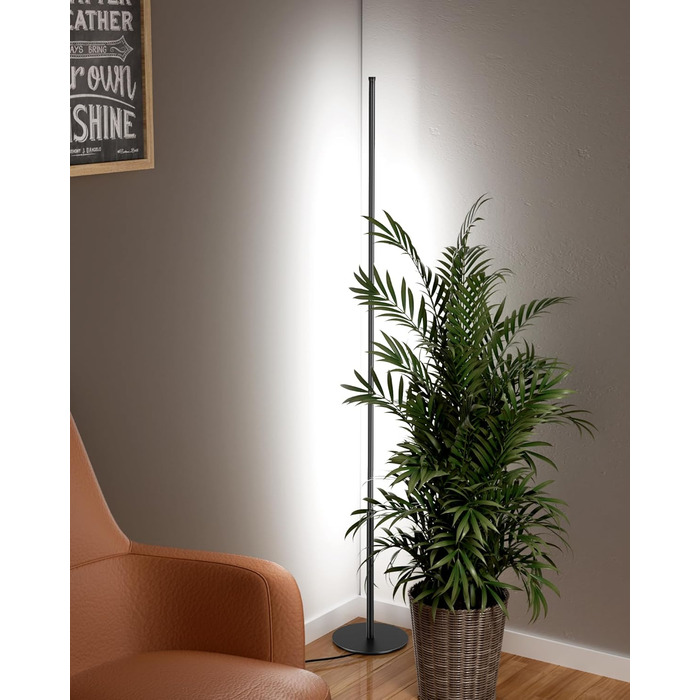 LED торшер EDISHINE для вітальні, спальні, офісу, 146 см, диммування, тепле світло 3000K, чорний (2 шт.)