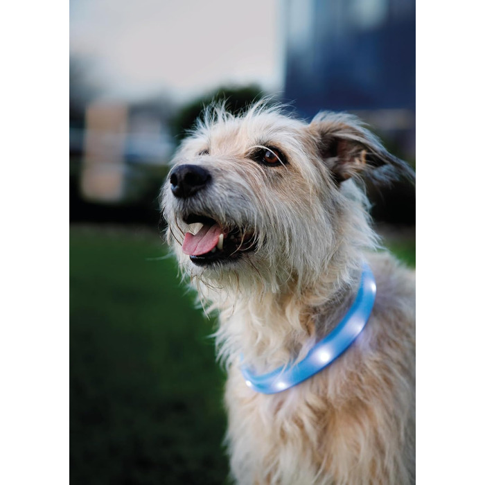 Світловідбиваючий нашийник для собак TRIXIE L-XL блакитний - безпечні прогулянки в темряві, перезаряджається, регулюється