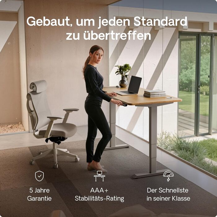 Електричний регульований стіл Desktronic HomePro 160x80 см – з двома моторами, сенсорним керуванням та USB-портами (3.6 Grey + Solid Oak)