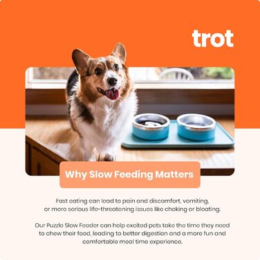 Нержавіюча миска для собак Trot Pets з підняттям, для малих, середніх та великих порід, протиковзна, довговічна, BPA-free, для корму та води (Шифер, маленька)
