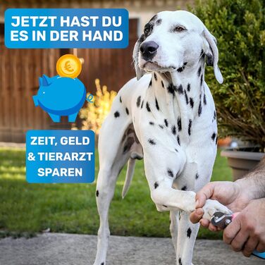 Ножиці для обрізання кігтів BluePet Profi Krallenschere для собак та котів - професійні, регульовані, з напильником, рожеві (M-XL)