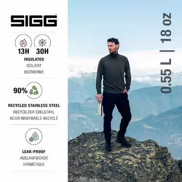 SIGG - Insulated Drinking Bottle - Thermos Flask Hot & Cold One - With Tea Strainer - Leak-proof - BPA-free - 18/8 Stainless Steel - 0.55 L