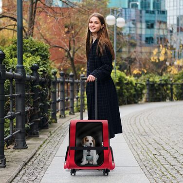 Тролей для собак та котів All Pets United - переносна сумка-транспортування для домашніх тварин (Чорний, Червоний)