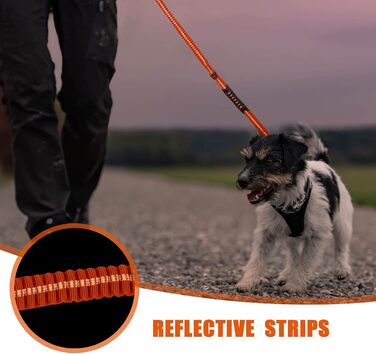 Міцна тактична повід для собак Raiput Bungee, 1.2-1.8 м, проти тяги, з карабіном, світловідбиваючі, амортизуючі, для середніх собак (Orange 2.0, Large)