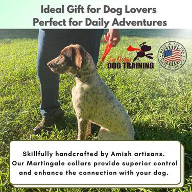 Нашийник для собак Martingale від Jim Hodges, біотану, не тягне, професійна якість, розмір M, чорний