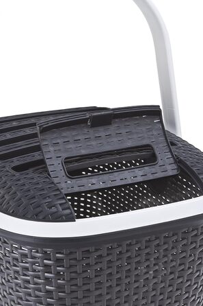 Транспортний бокс Curver Transportbox L (51x38x33 см) антрацит/темно-коричневий