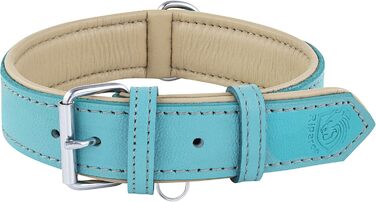 Riparo Genuine Leather Adjustable Dog Collar with Additional Reinforcement (: 4.5CM Wide for 53.4CM - 63.5CM Neck, ) (L, Aqua)