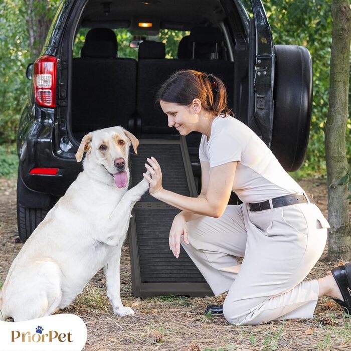 Східці для собак у машину – складані, 174 см, 38 см, з гумовим покриттям – для великих собак, підходить для авто та SUV – вантажопідйомність 85 кг – темно-сірий колір