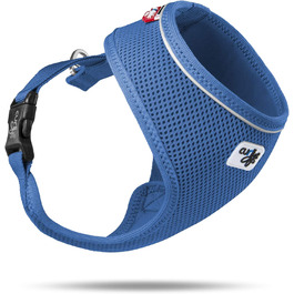 колір: синій