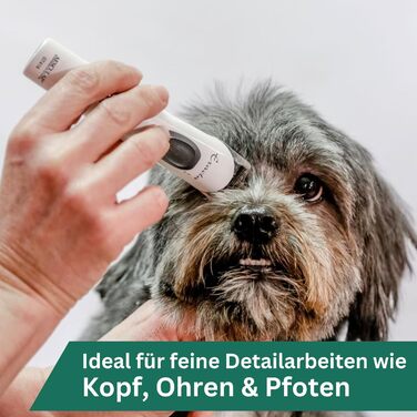 Машинка для стрижки собак та котів Agrarzone Edition Aesculap Exacta - з запасним ножем, тиха та без вібрації