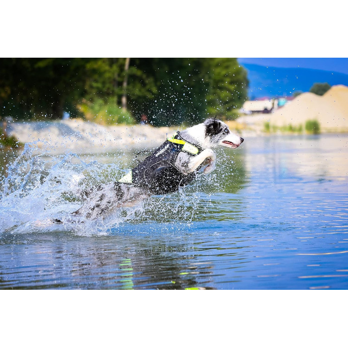 Жилет для собак Julius-K9 IDC 3в1, розмір L, чорний та неоновий, чорний та UV-помаранчевий