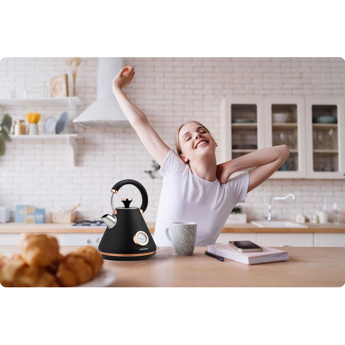 Елегантний чайник Berdsen BD-701 з термометром, 1.7L, чорний