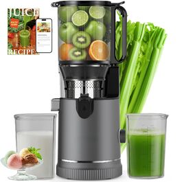 Шнекова соковижималка Entsafter Slow Juicer SJ-065, 400 Вт, XL-завантажувач 152 мм, Titanium Gray