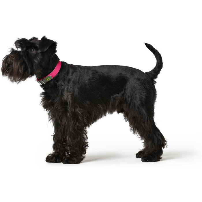 Нашийник для собак HUNTER Convenience, пластик, 55 см, M-L, колір: малиновий