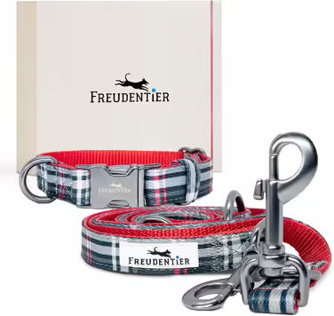 Dog Collar with 2m Leash Set - Adjustable Leash - Edinburgh Collection - Dog Collar for Large Dogs, Collar for Small & Medium Dogs - Dog Collar including Gift Box (30-40cm Neck Circumference)