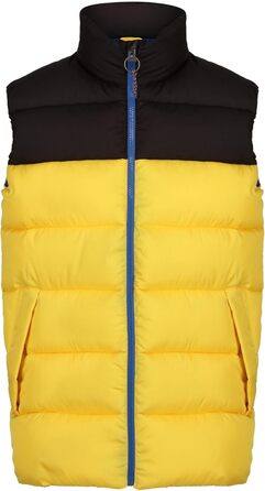 Жилет чоловічий Regatta Professional Vintage Puffer чорного кольору (Solarbetriebenes)