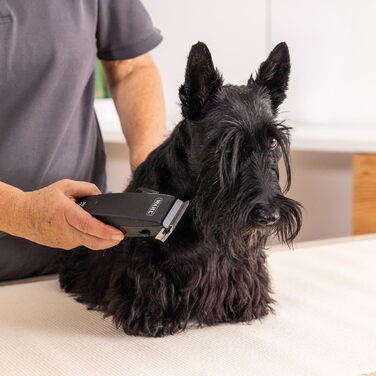 Машинка для стрижки собак Agrarzone Edition Wahl Rex - тиха модель Moser для собак та котів середніх порід - ідеальна для чутливих тварин з набором гребінок